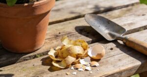 Obierki z ziemniaków jako nawóz: naturalny sposób na żyzną glebę